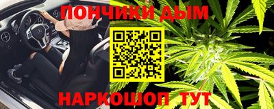 сатива Хасавюрт