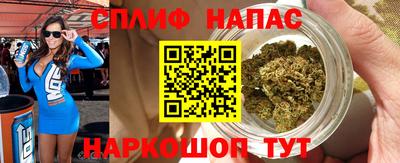 сатива Хасавюрт